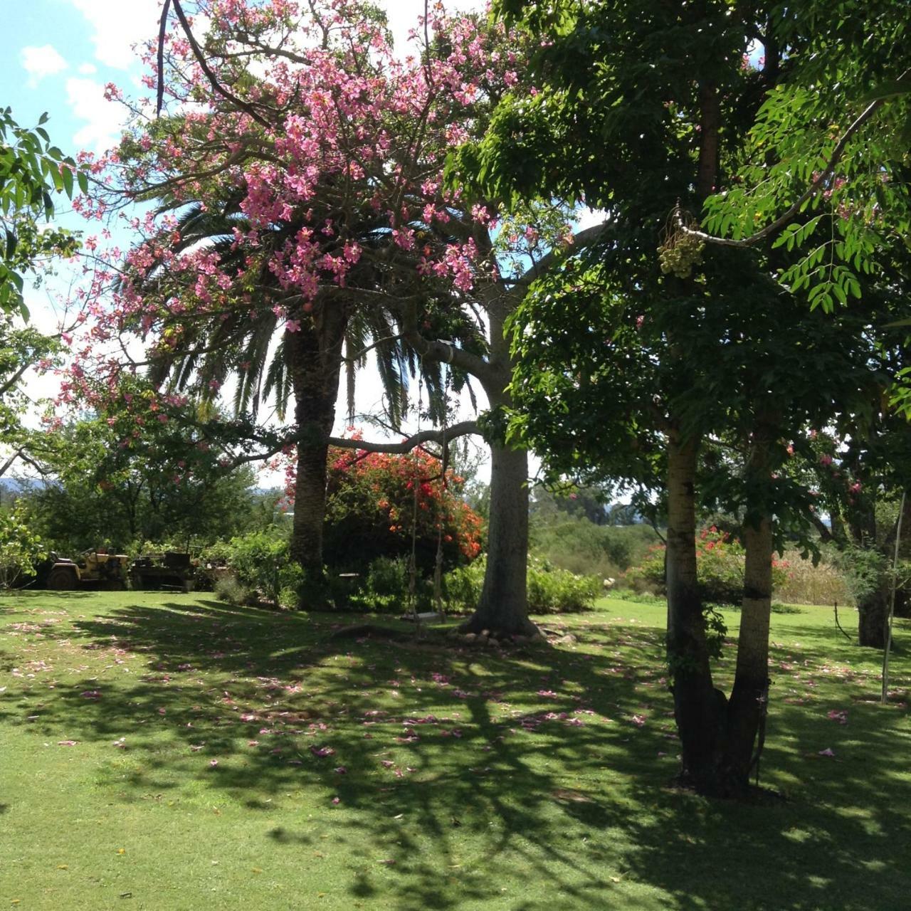 Gerald'S Gift Guest House Addo Exteriér fotografie
