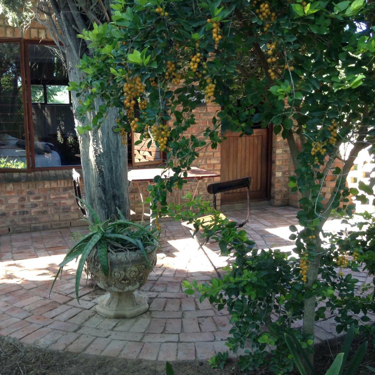 Gerald'S Gift Guest House Addo Exteriér fotografie